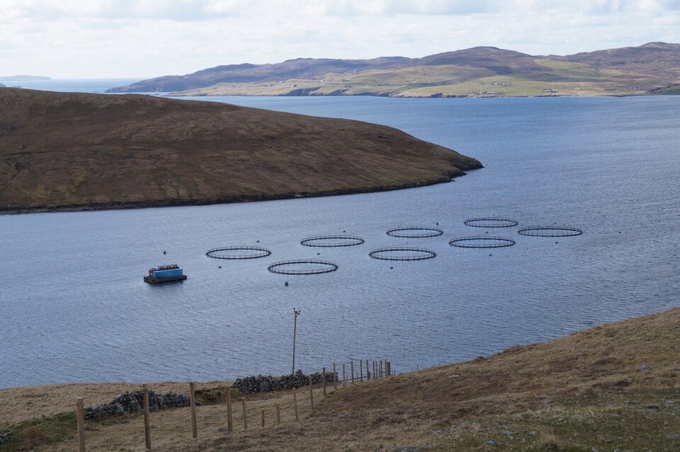 Salmon Farm, Gon Firth (Credit: Mike Pennington, Creative Commons Attribution-Share Alike 2.0)